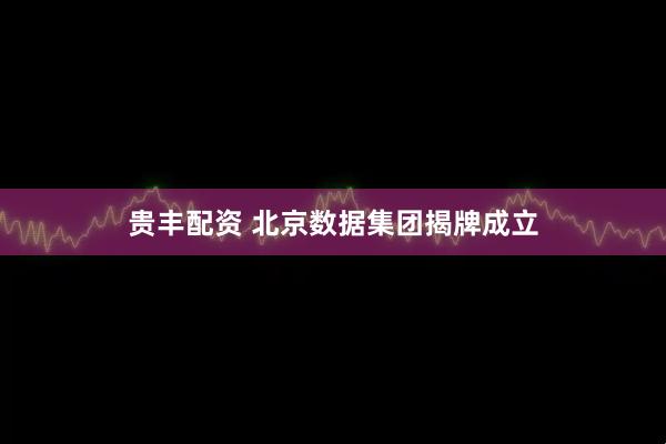 贵丰配资 北京数据集团揭牌成立